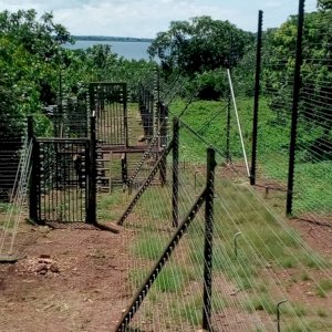 Ngamba Island Chimpanzee Santuary Electric fencing installation by Esa Tytans Uganda